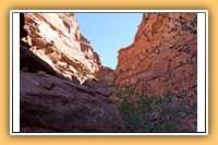 Canyonlands Canyon