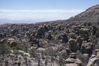 Chiricahua Blick vom Massai Point