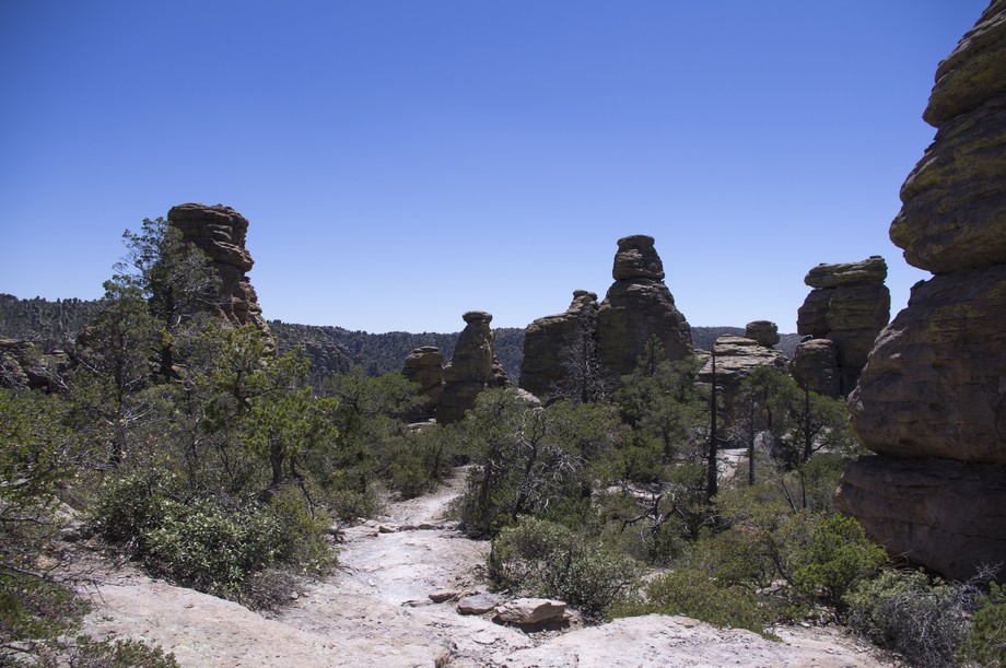 Chiricahua Echo Canyon Trail