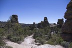 Chiricahua Echo Canyon Trail