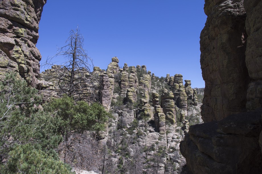 Chiricahua Echo Canyon Trail