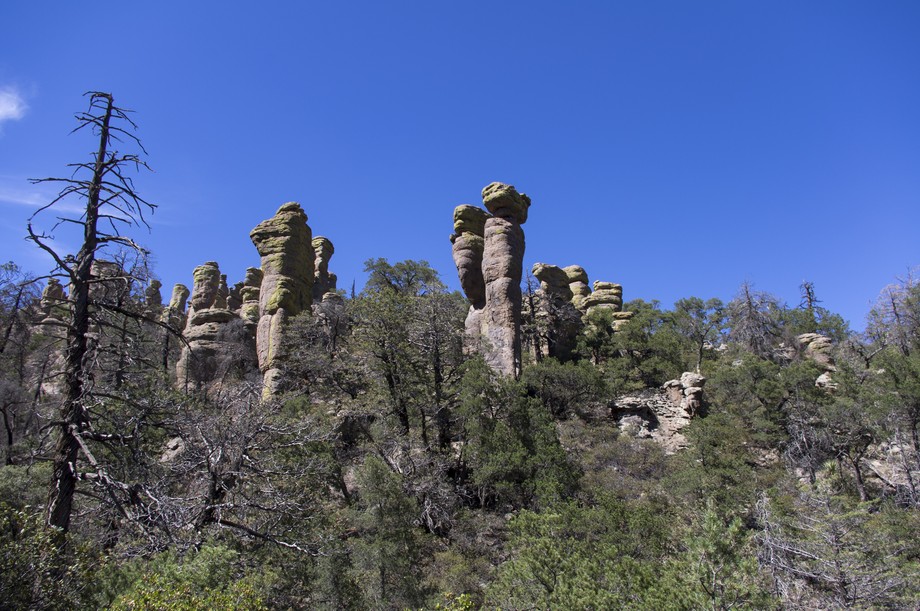 Chiricahua Echo Canyon Trail