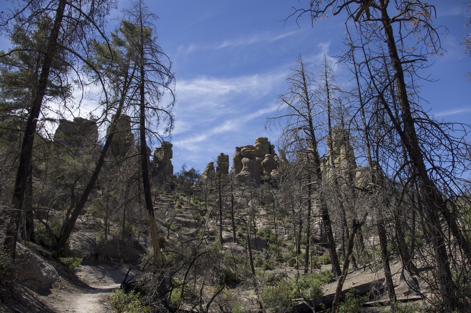 Chiricahua Echo Canyon Trail