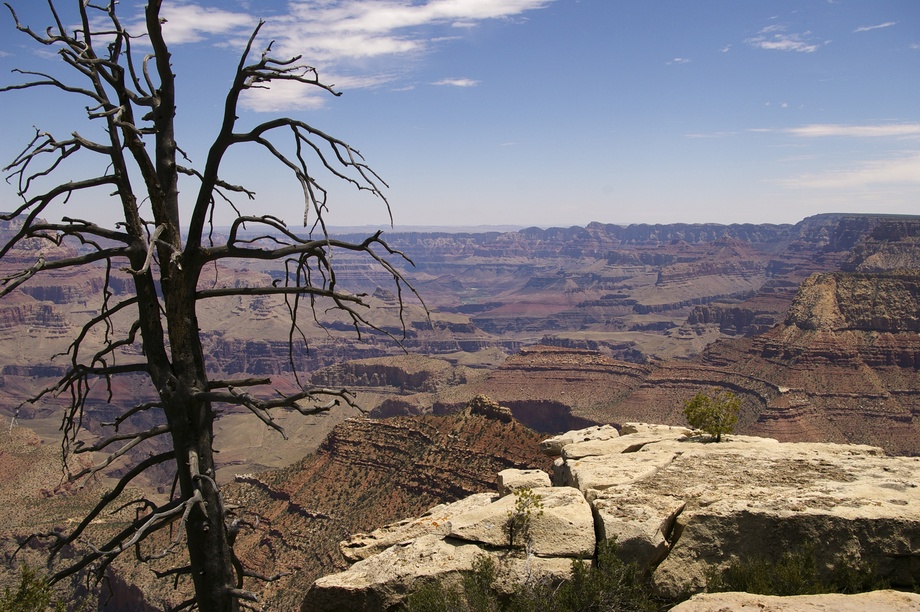 der Canyonrand