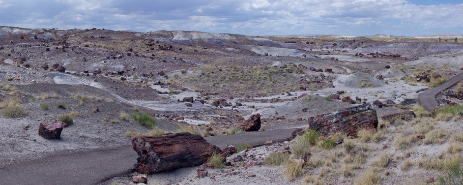 Petrified Forest NP