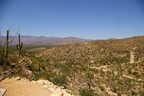 Saguaro National Park