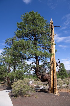 Sunset Crater
