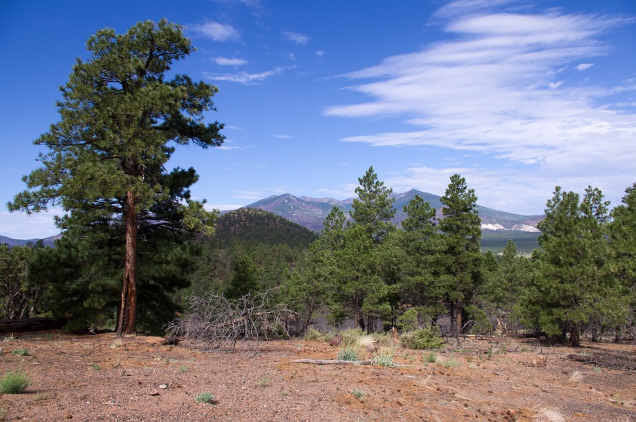 Lenox Crater Trail