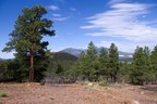 Lenox Crater Trail
