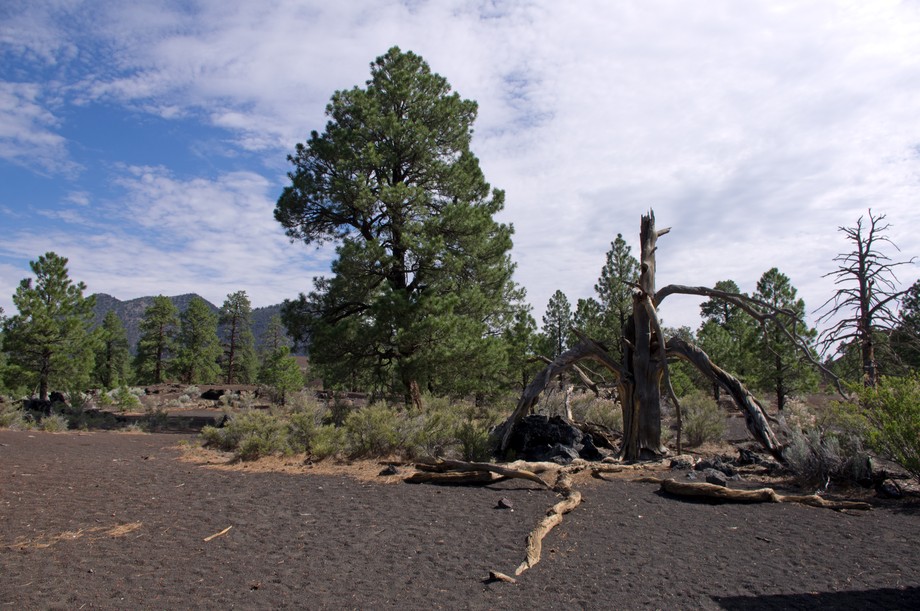 Lava Flow Trail