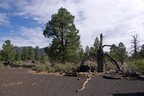 Lava Flow Trail