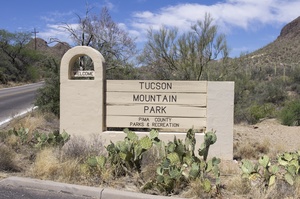 Tucson Mountain Park