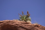 Upper Antelope Canyon