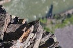 schwarzer Fels