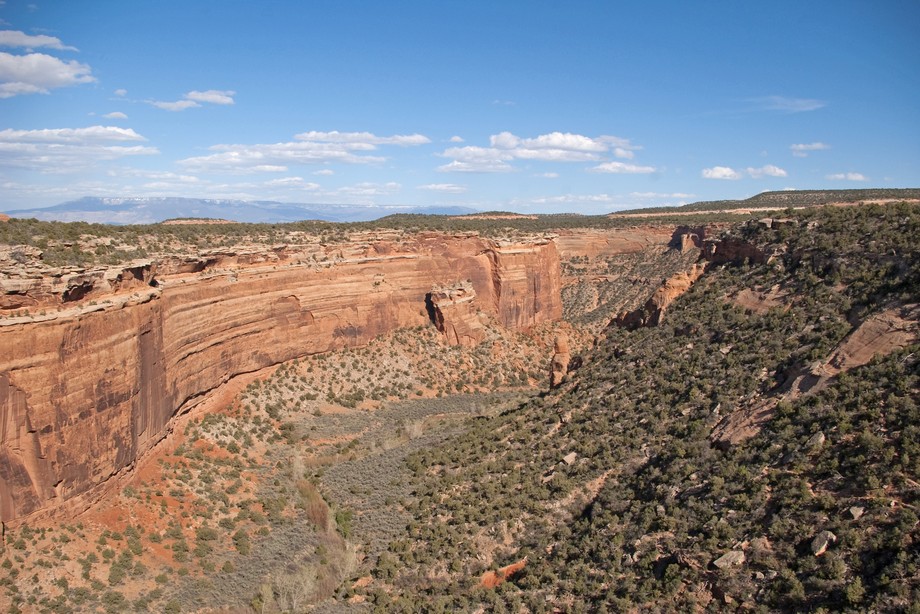 Fallen Rock