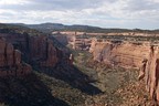 Ute Canyon