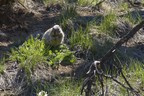 Mesa Verde Nationalpark