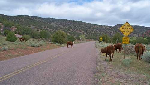 Phantom Canyon Road