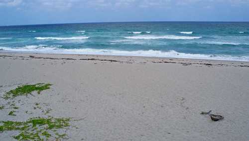 MacArthur Beach State Park