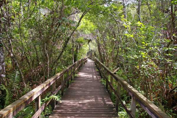 Boardwalk