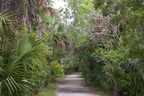 Weg zum Big Cypress Bend Boardwalk