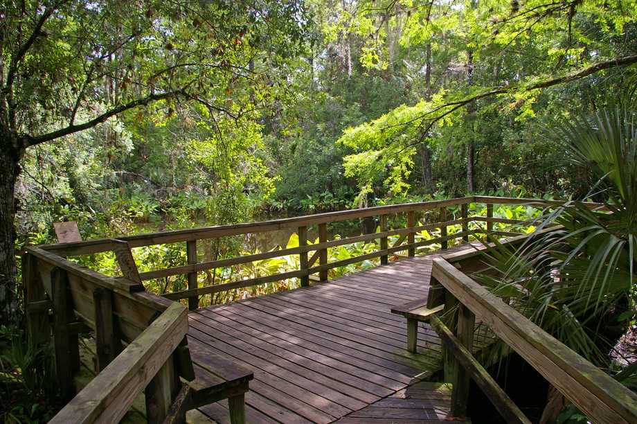 Big Cypress Bend Boardwalk