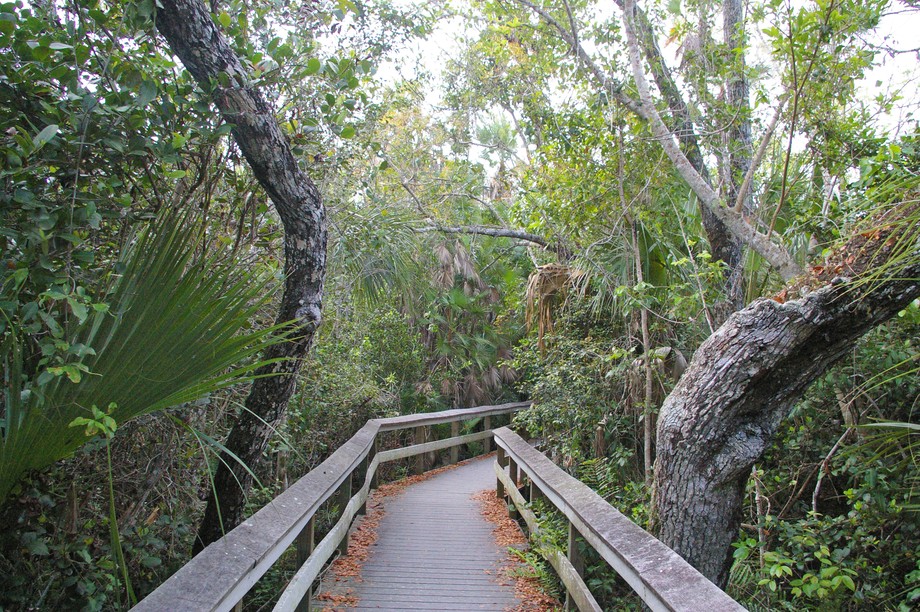 Mahogany Hammock Trail
