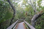 Mahogany Hammock Trail