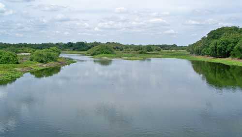 Myakka River State Park