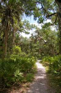 Myakka River State Park