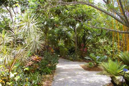 Orchid Park