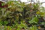 Orchideenhaus