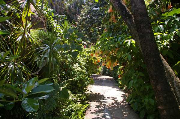 Sunken Gardens