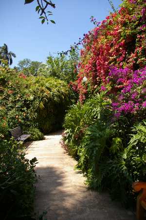 Sunken Gardens