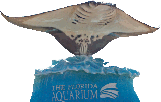 Tampa Aquarium