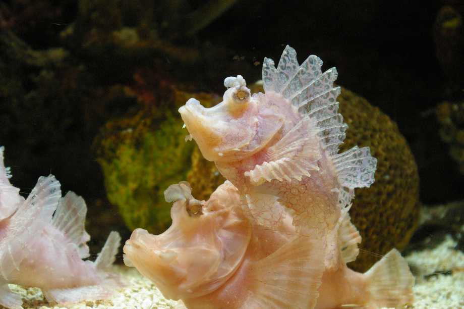 Tampa Aquarium