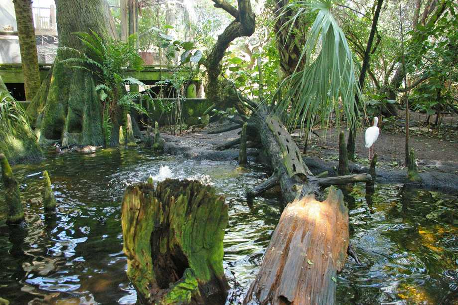 Tampa Aquarium