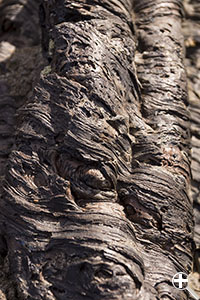 Lava