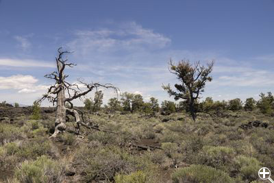 Devils Orchard Nature Trail