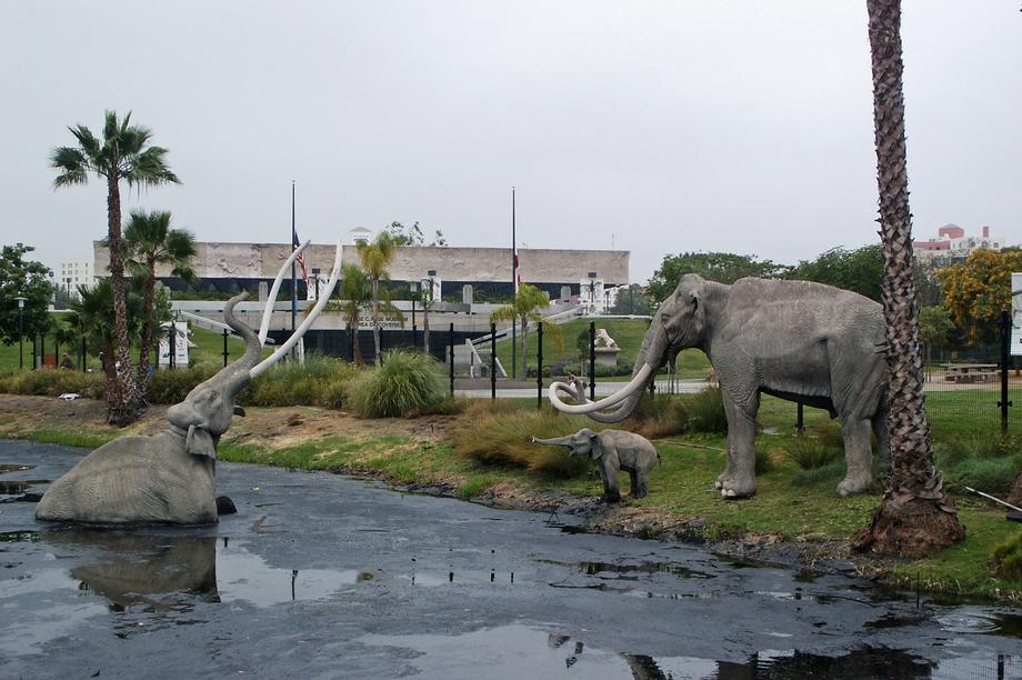 Museum Page aussen
