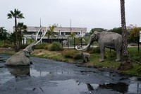 Museum Page aussen