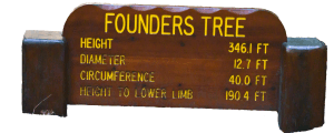 Founderstree Tafel