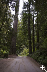 Howland Hill Road