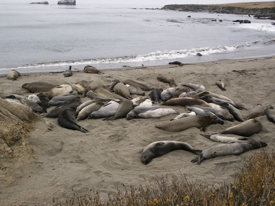 Highway 1