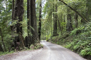 Howland Hill Road