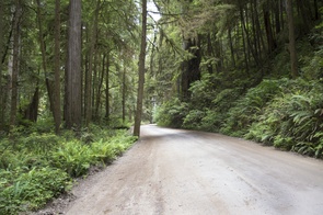 Howland Hill Road