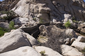 Joshua Tree NP Barker Dam Trail