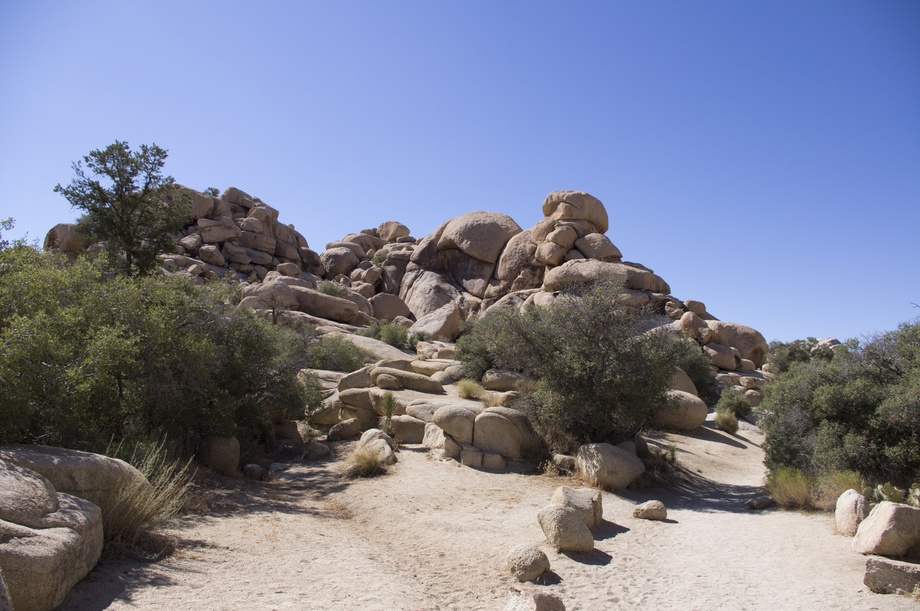 Joshua Tree Nationalpark