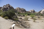 Joshua Tree Nationalpark