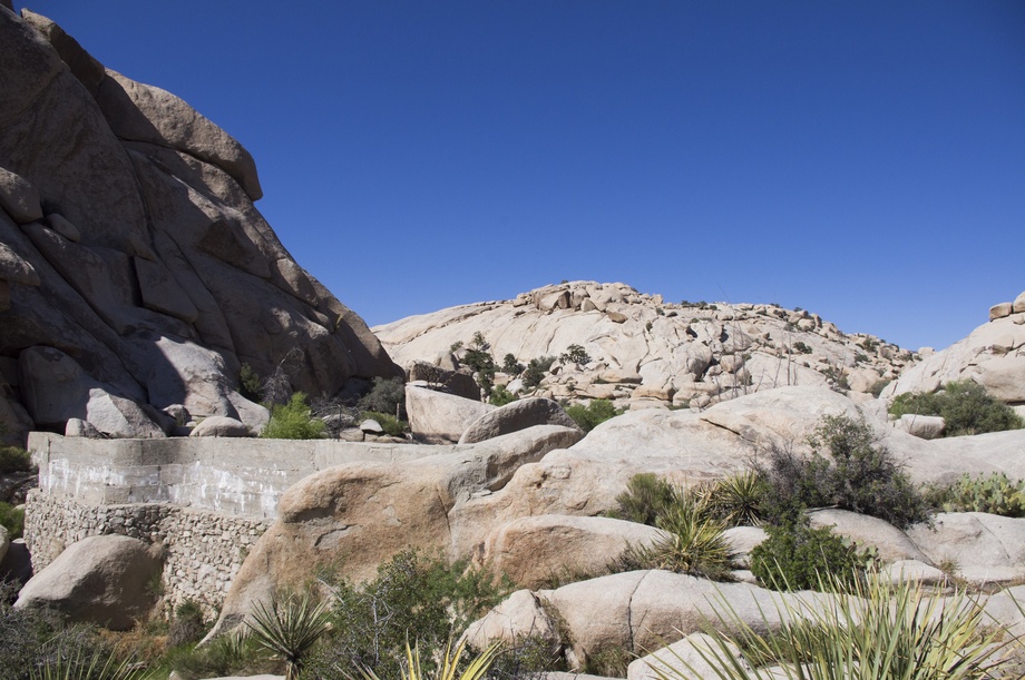 Joshua Tree Nationalpark